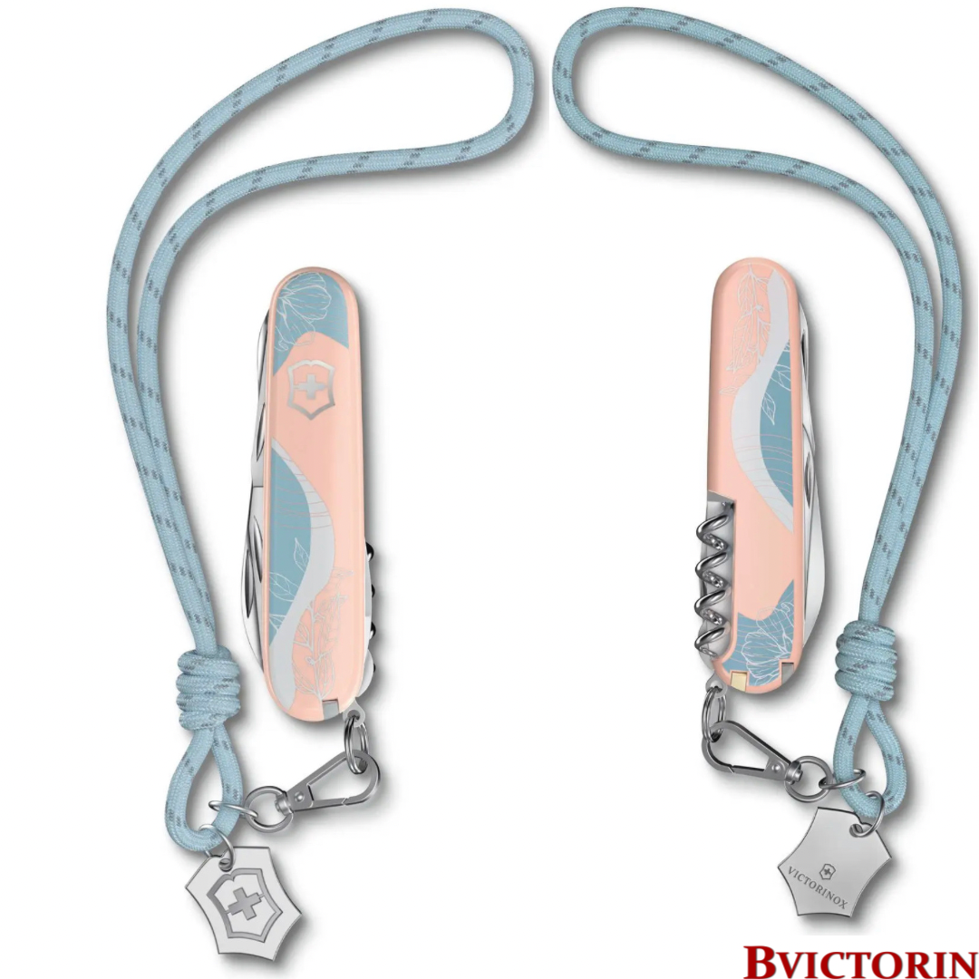 585BAC5E-3F2E-4CCC-AB57-7F70BDDE64E6